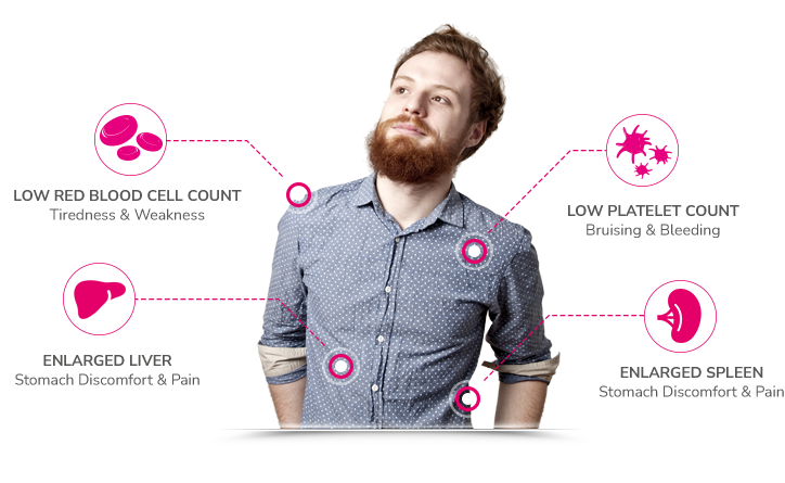 VPRIV Patient with four icons representing Common Symptoms of Type 1 Gaucher Disease: Low Red Blood Cell Count, Low Platelet Count, Enlarged Spleen, Enlarged Liver and Bone Involvement.